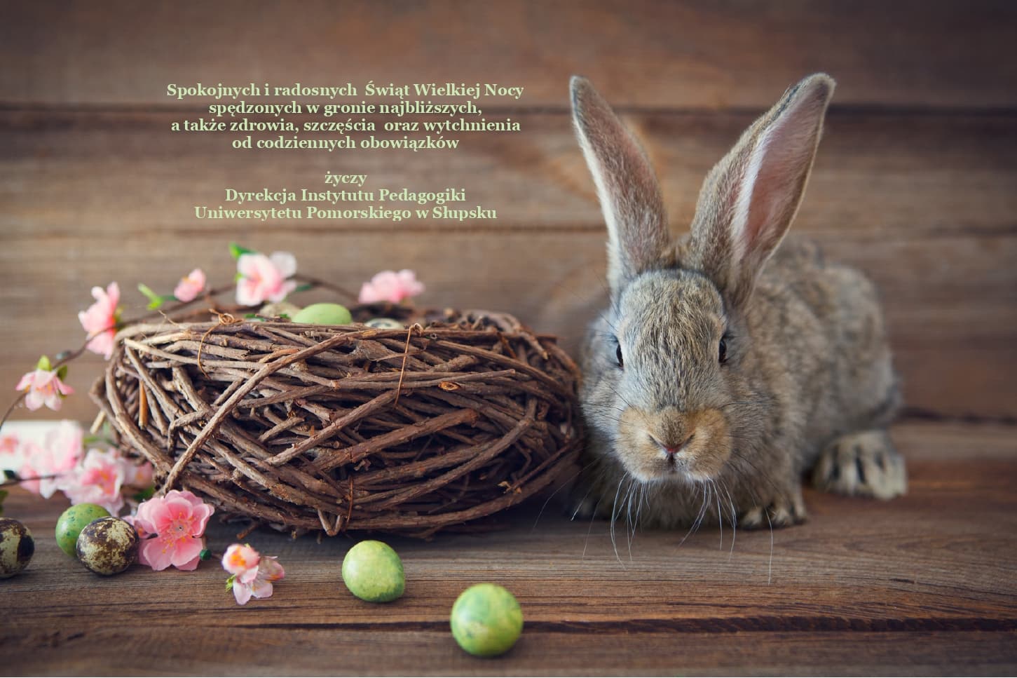Życzenie od Dyrekcji Instytutu Pedagogiki